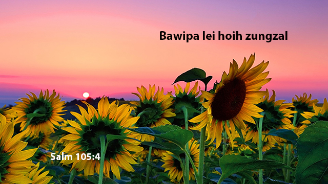 bphoih